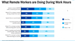 Nielsen-Aug 2020-Remote Workers Study
